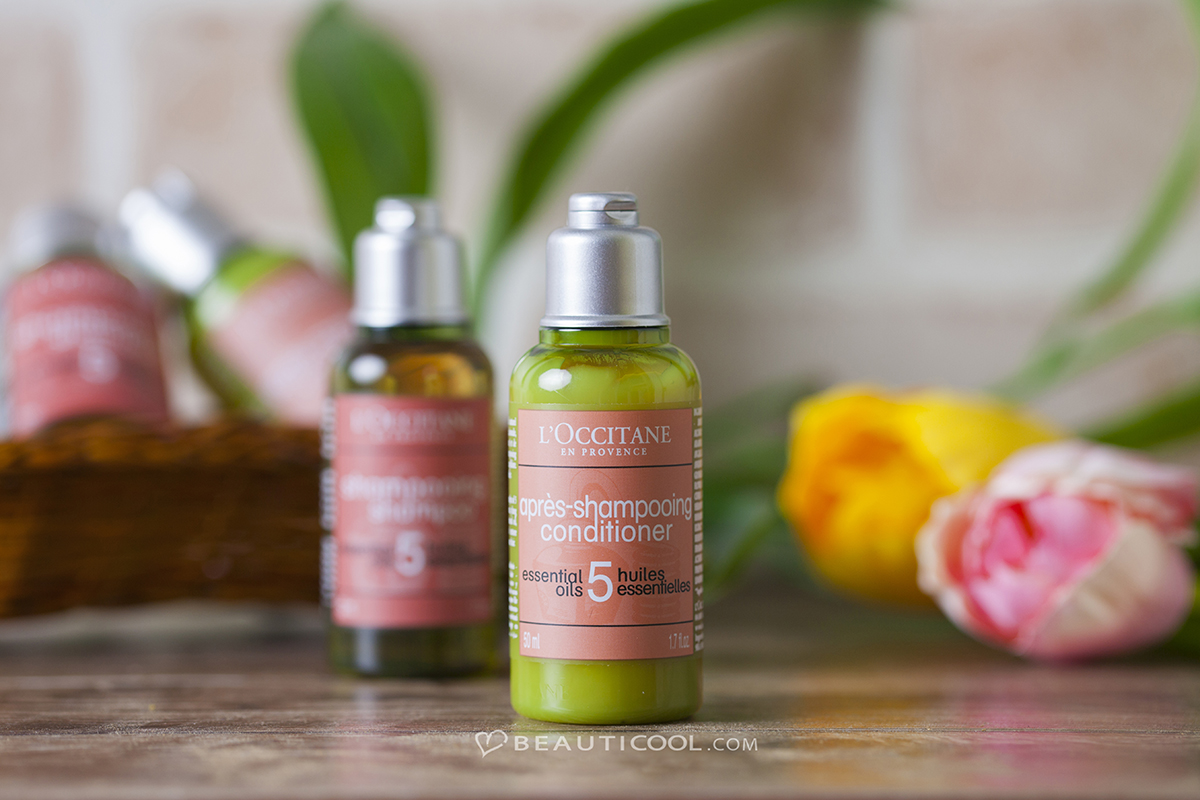 l'occitane shampoo and conditioner, l'occitane shampoo ราคา