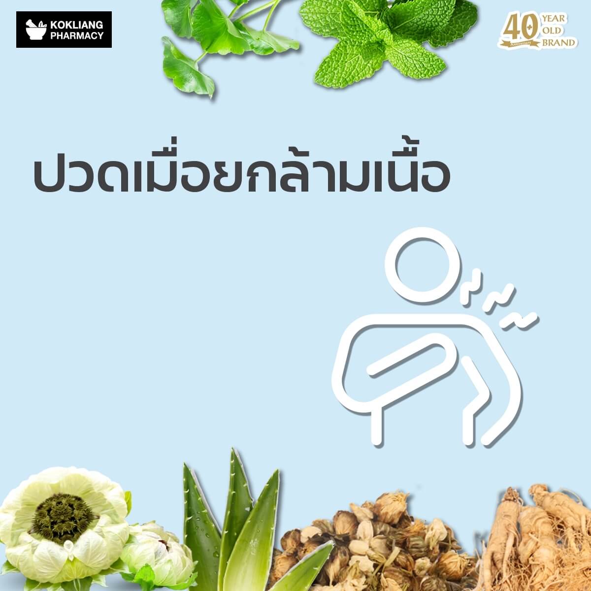 ก๊กเลี้ยง Kokliang ครีมบัวหิมะ 15 g  ในวงการแพทย์จีนรับรอง บัวหิมะ เป็นยอดสมุนไพรไร้คู่เปรียบของจีนมาช้านาน เพราะอุดมไปด้วยน้ำ แร่ธาตุและวิตามิน บอกได้เลยว่าเหมาะสำหรับผิวที่มีปัญหาแบบเร่งด่วน ผิวไหม้จากความร้อนและผดผื่นคัน   พร้อมผสานคุณค่าจากรากโสม พิมเสน ชามะลิ ใบบัวบกและอโลเวร่า ที่มีสรรพคุณลดบวมช้ำและคลายปวดเมื่อยกล้ามเนื้อ กระตุ้นการไหลเวียนของเลือดบริเวณแผลได้ดี เสริมสร้างเซลล์ผิวใหม่ทดแทนผิวเก่า หรือแผลอื่นๆที่จะกลายเป็นรอยแผลเป็น คลายปวดเมื่อยตามกล้ามเนื้อ   หากคุณยังไม่พอใจครีมหลายสิบขนานที่เคยใช้มาแล้ว ให้ครีมบัวหิมะเป็นองครักษ์พิทักษ์ผิวคุณไว้ที่บ้านหรือพกติดตัวก็ไม่เสียหาย